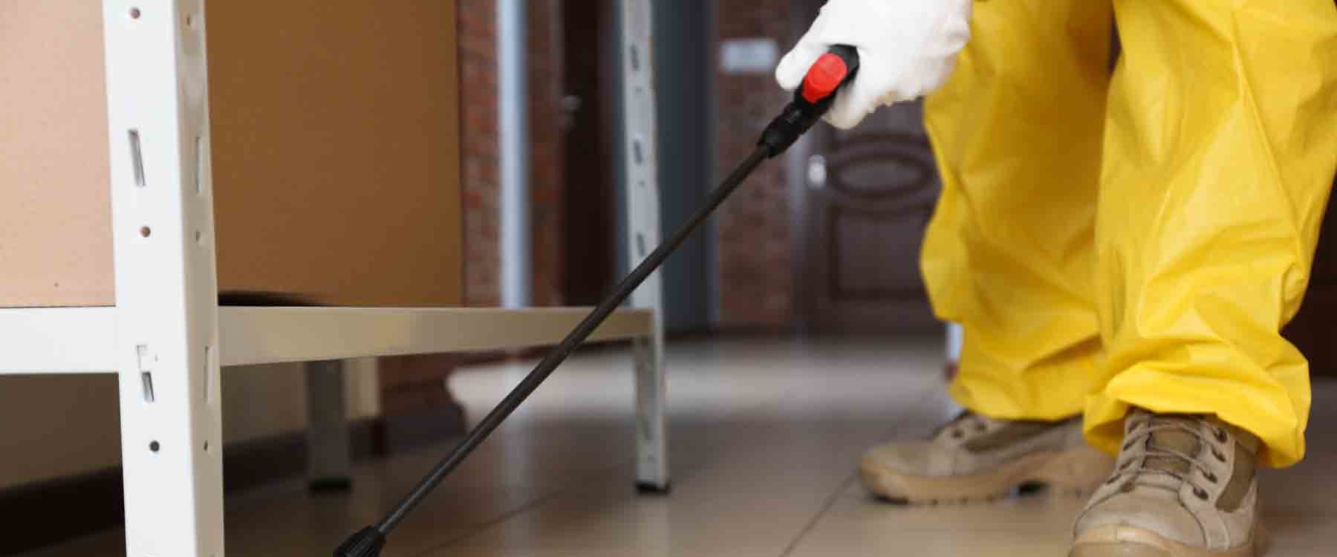 What Kind of Chemicals Does a Pest Control Service in Fort Mill SC Use?