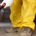 Professional Pest Control Services in Fort Mill SC